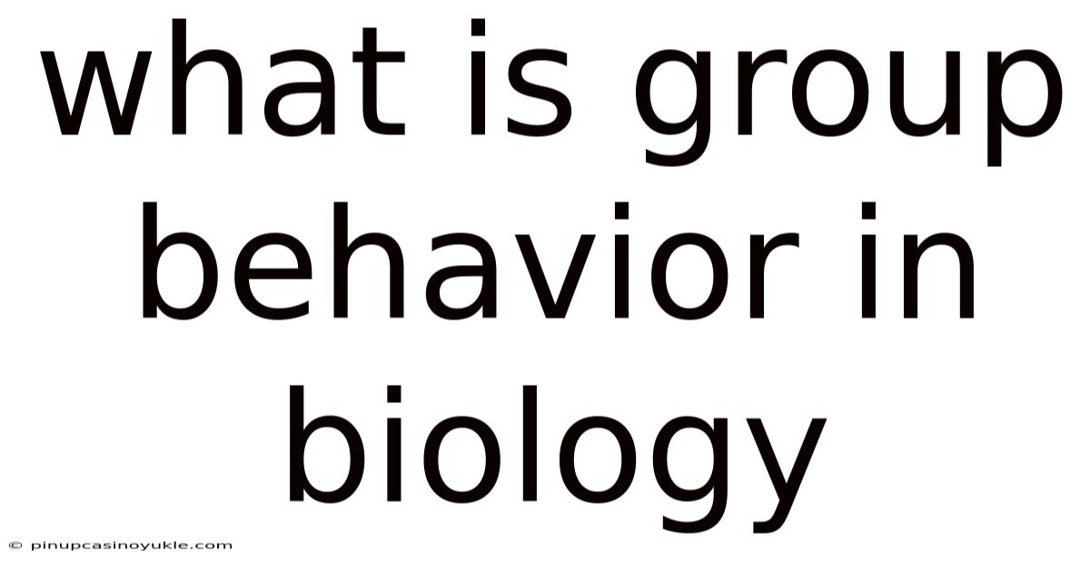 What Is Group Behavior In Biology
