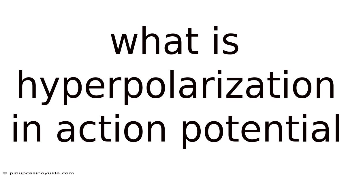 What Is Hyperpolarization In Action Potential