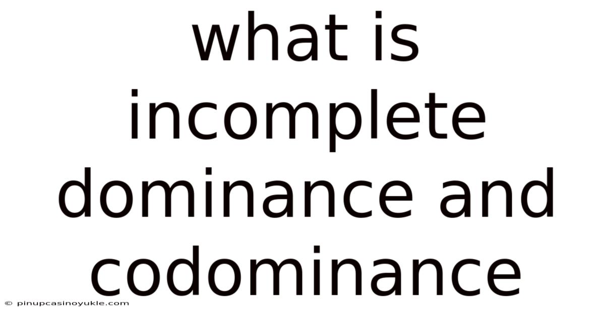 What Is Incomplete Dominance And Codominance