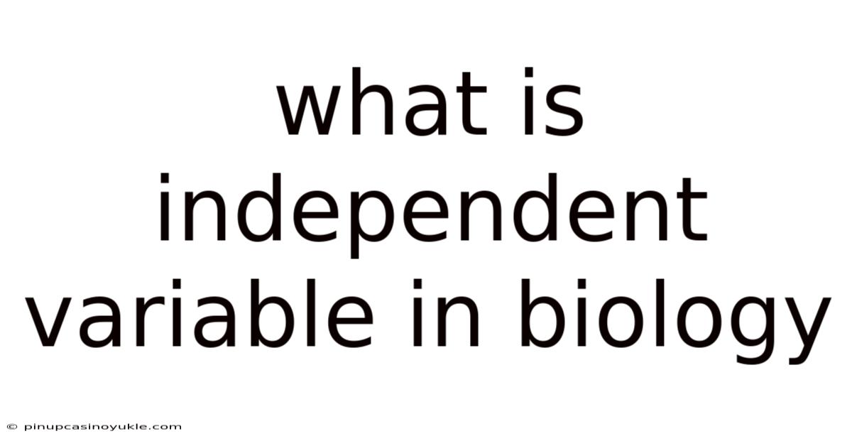 What Is Independent Variable In Biology