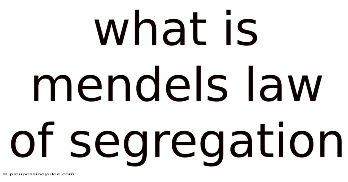 What Is Mendels Law Of Segregation