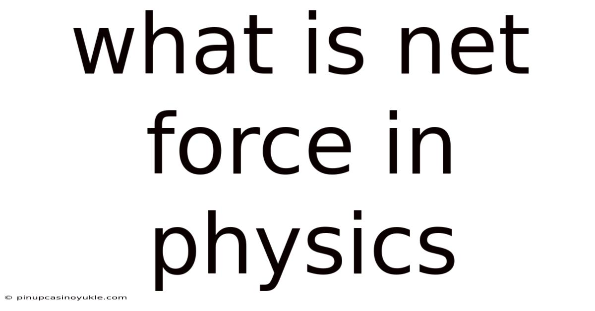 What Is Net Force In Physics