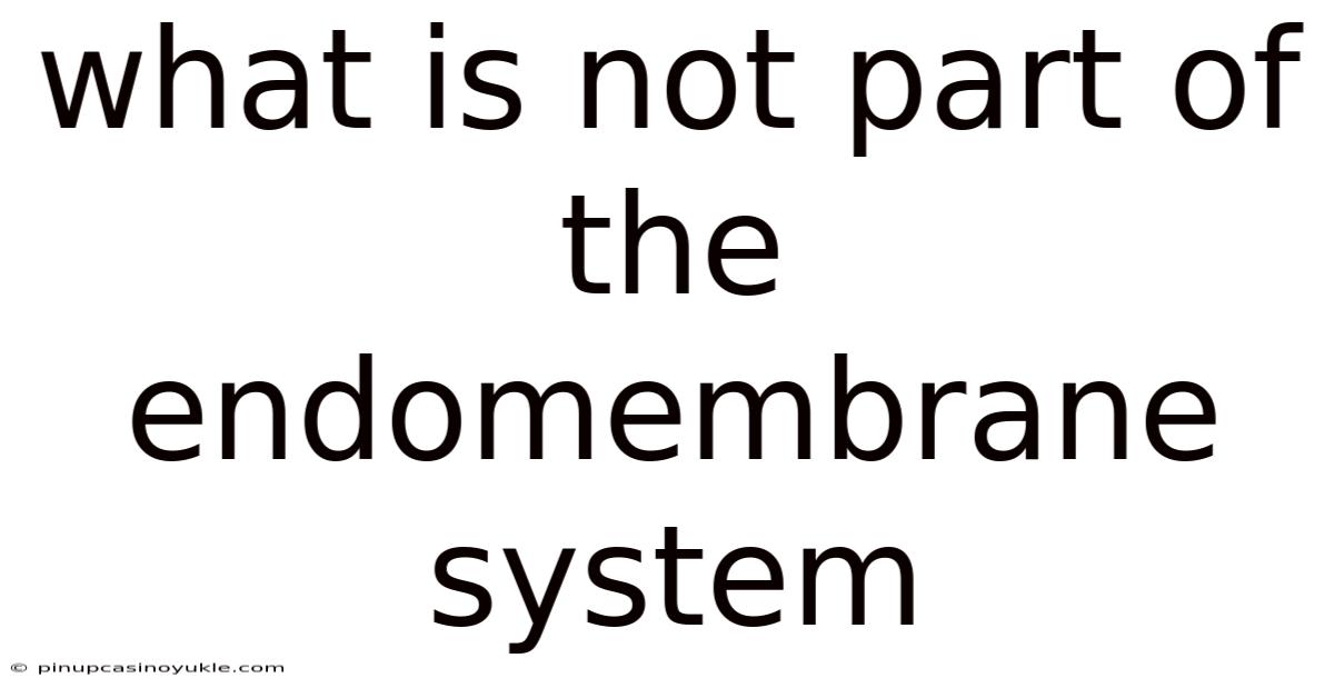What Is Not Part Of The Endomembrane System
