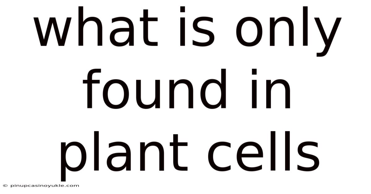 What Is Only Found In Plant Cells