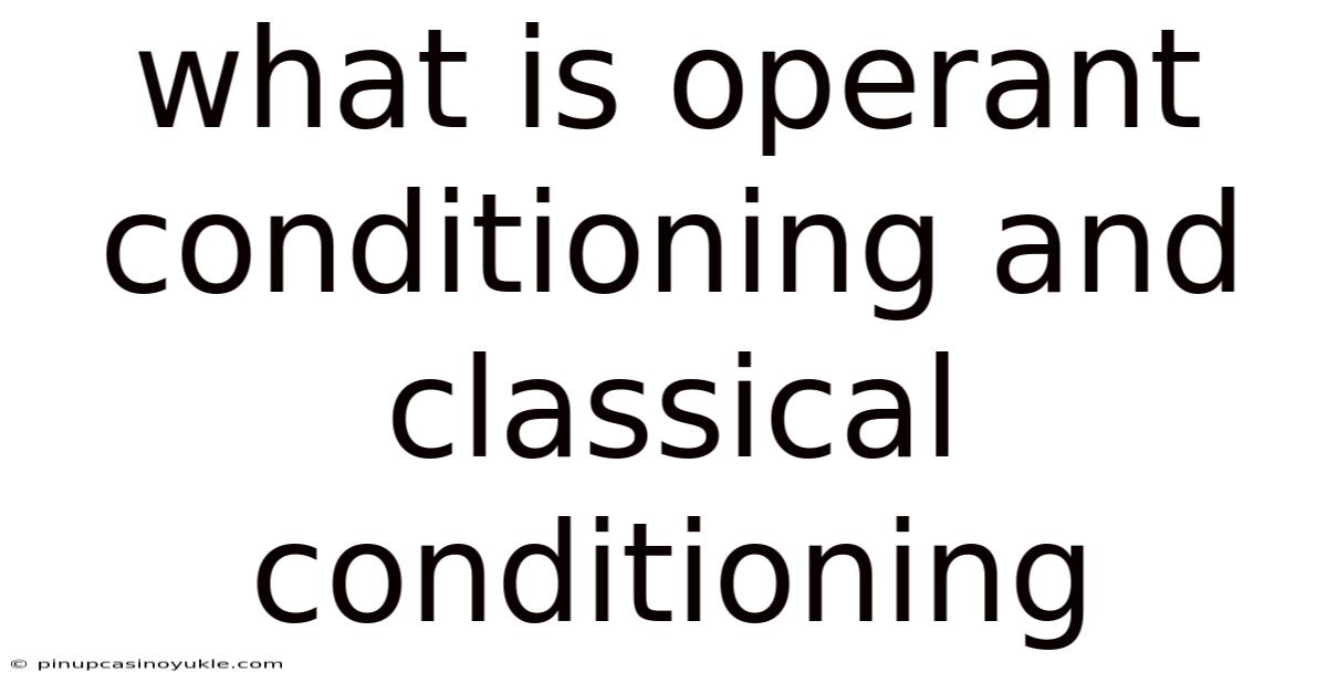 What Is Operant Conditioning And Classical Conditioning