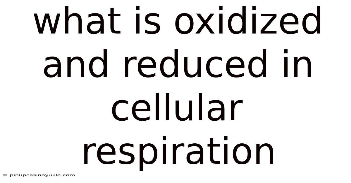 What Is Oxidized And Reduced In Cellular Respiration