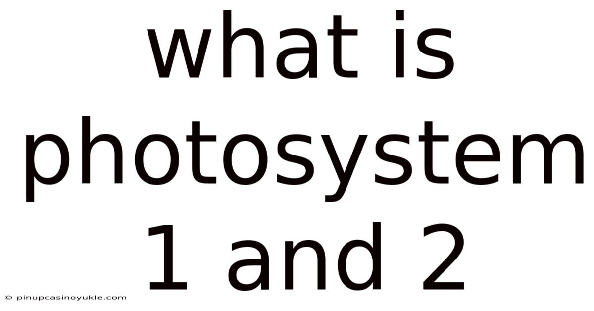 What Is Photosystem 1 And 2