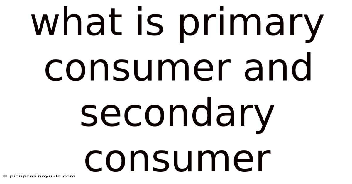 What Is Primary Consumer And Secondary Consumer