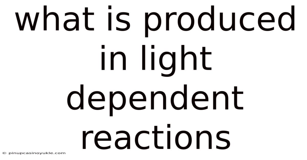 What Is Produced In Light Dependent Reactions