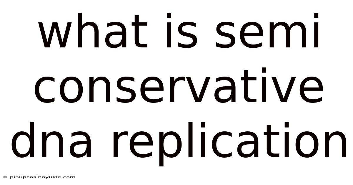 What Is Semi Conservative Dna Replication