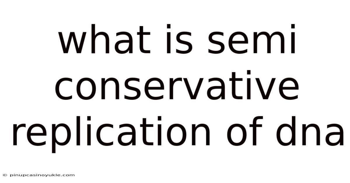 What Is Semi Conservative Replication Of Dna