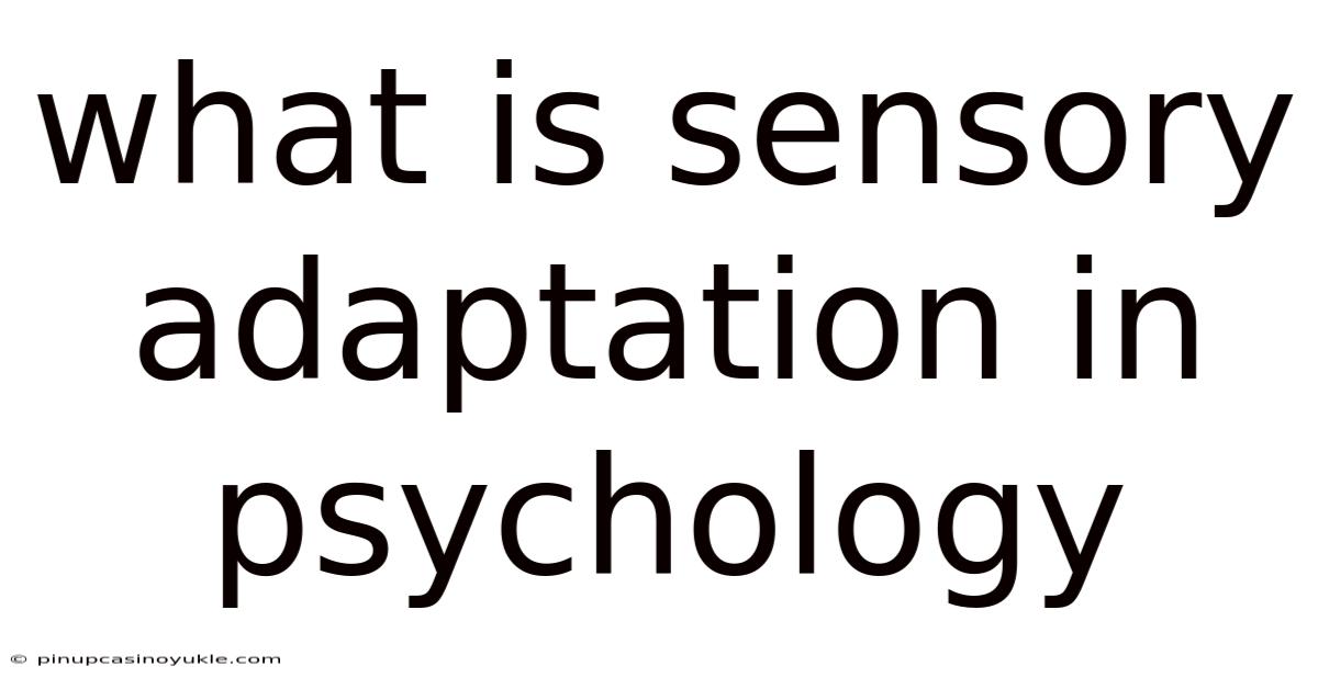 What Is Sensory Adaptation In Psychology