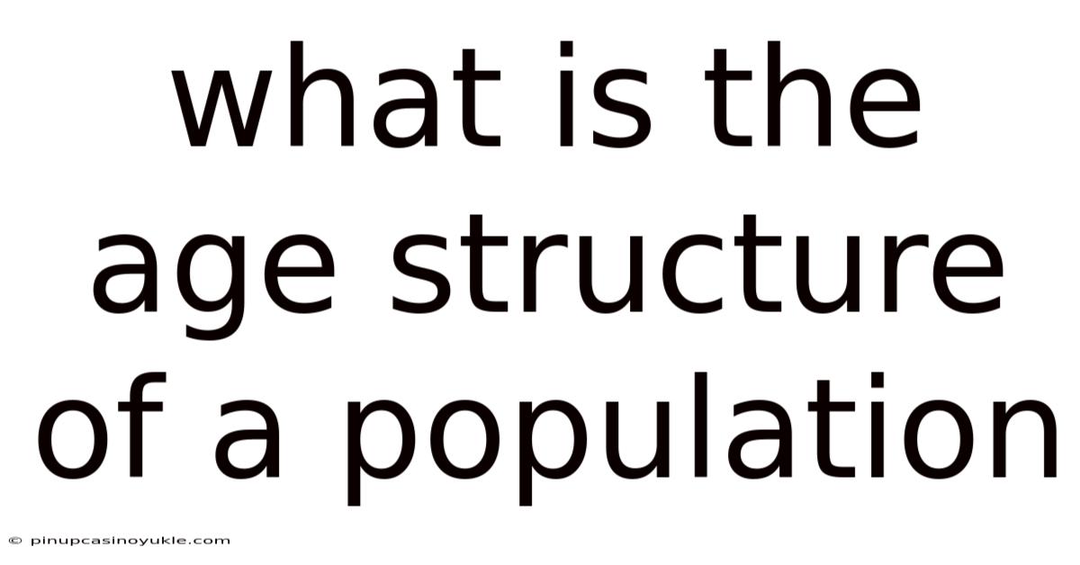 What Is The Age Structure Of A Population