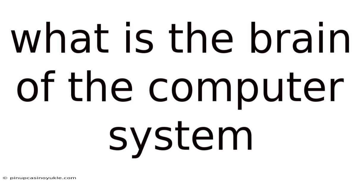 What Is The Brain Of The Computer System