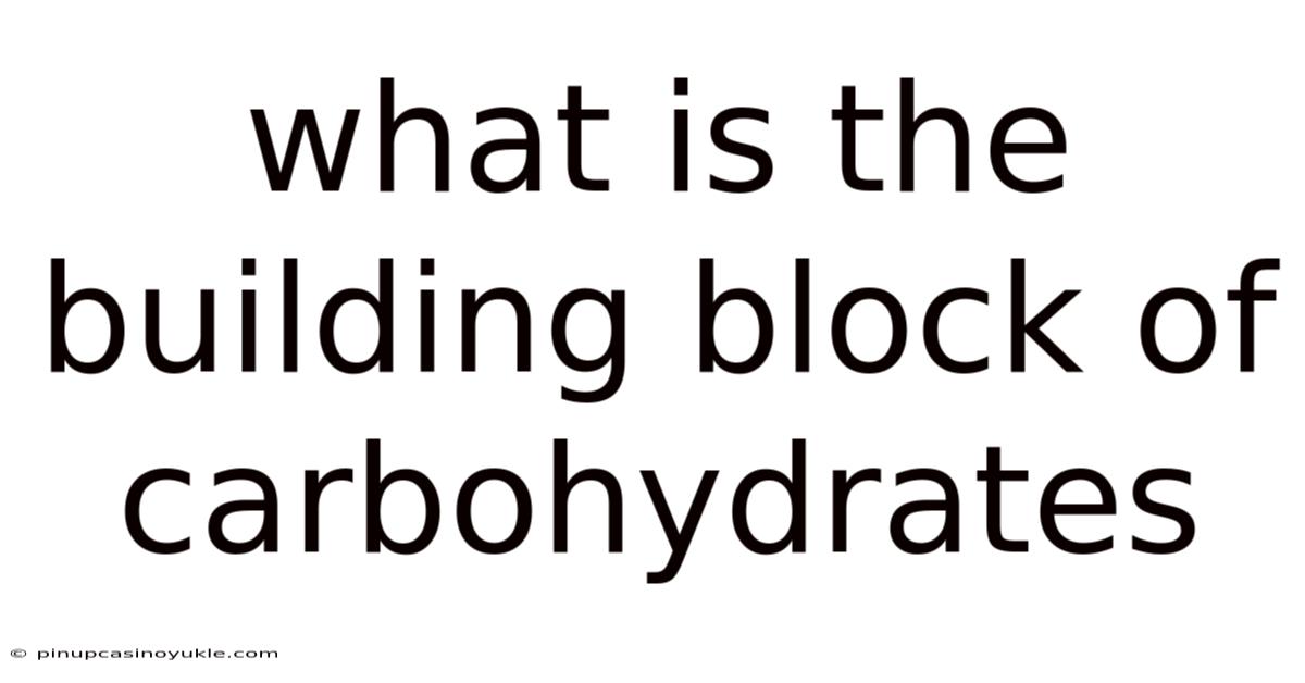 What Is The Building Block Of Carbohydrates