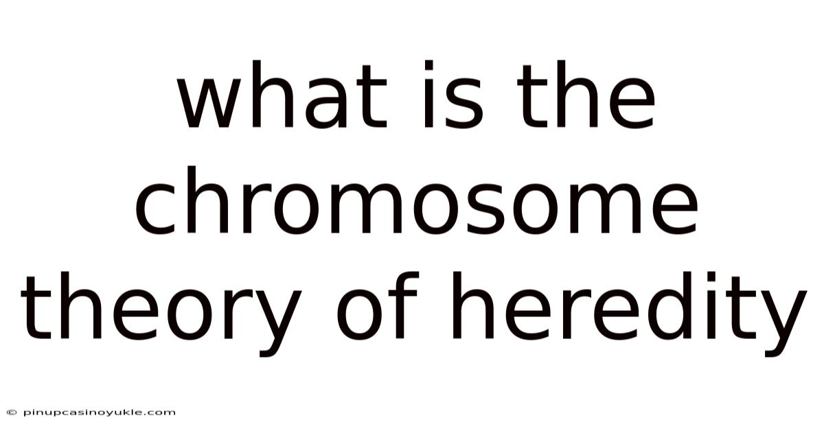 What Is The Chromosome Theory Of Heredity