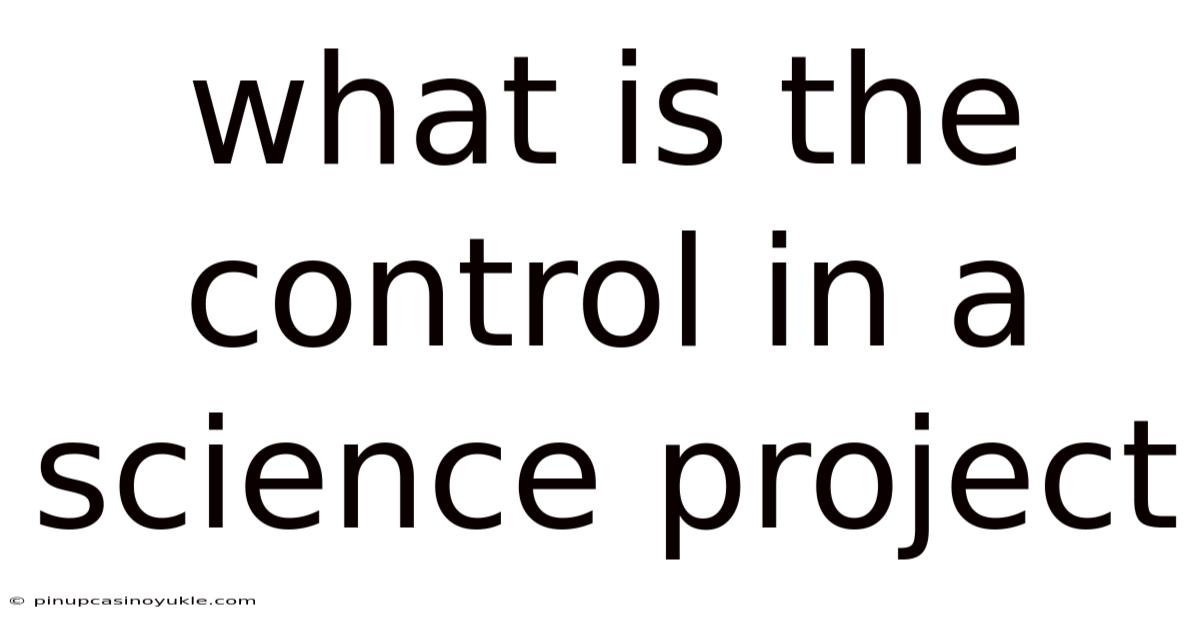 What Is The Control In A Science Project
