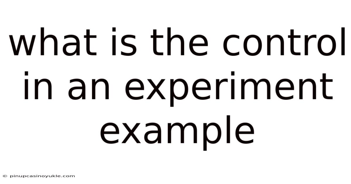 What Is The Control In An Experiment Example