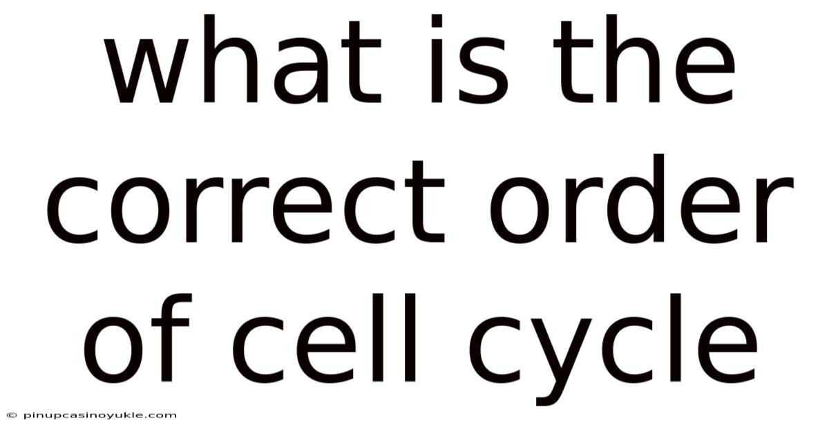 What Is The Correct Order Of Cell Cycle