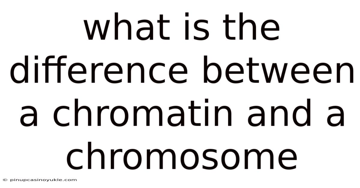 What Is The Difference Between A Chromatin And A Chromosome