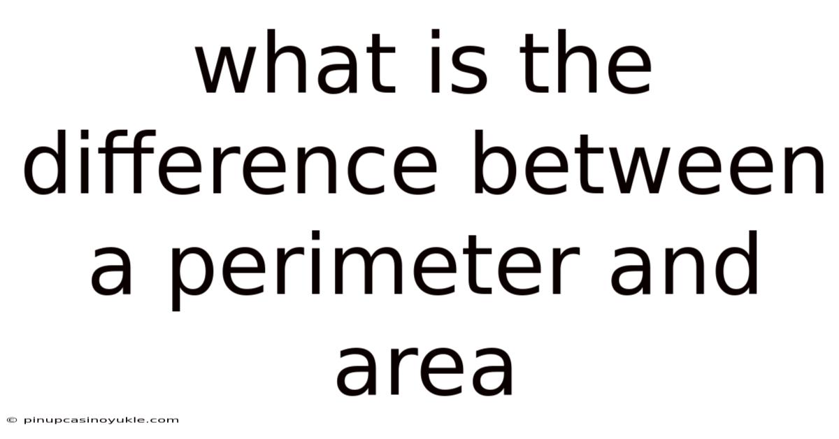 What Is The Difference Between A Perimeter And Area