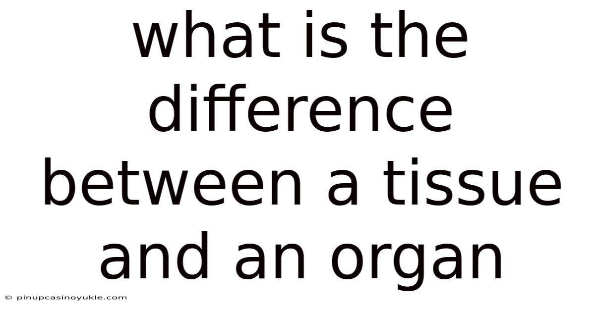 What Is The Difference Between A Tissue And An Organ