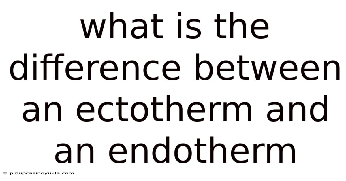 What Is The Difference Between An Ectotherm And An Endotherm