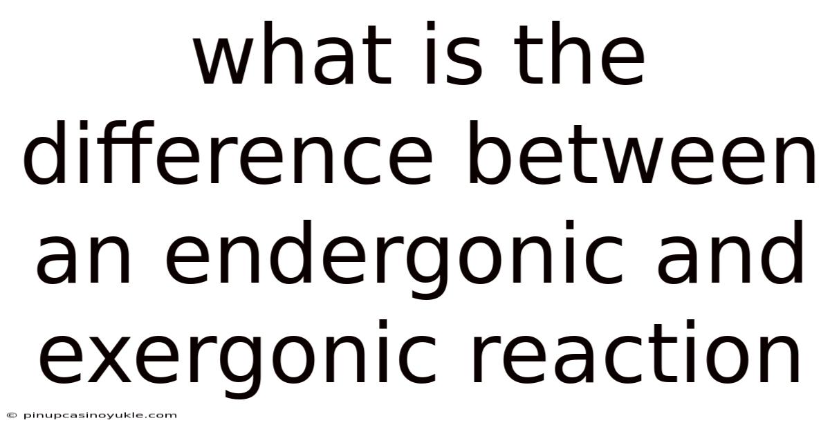 What Is The Difference Between An Endergonic And Exergonic Reaction