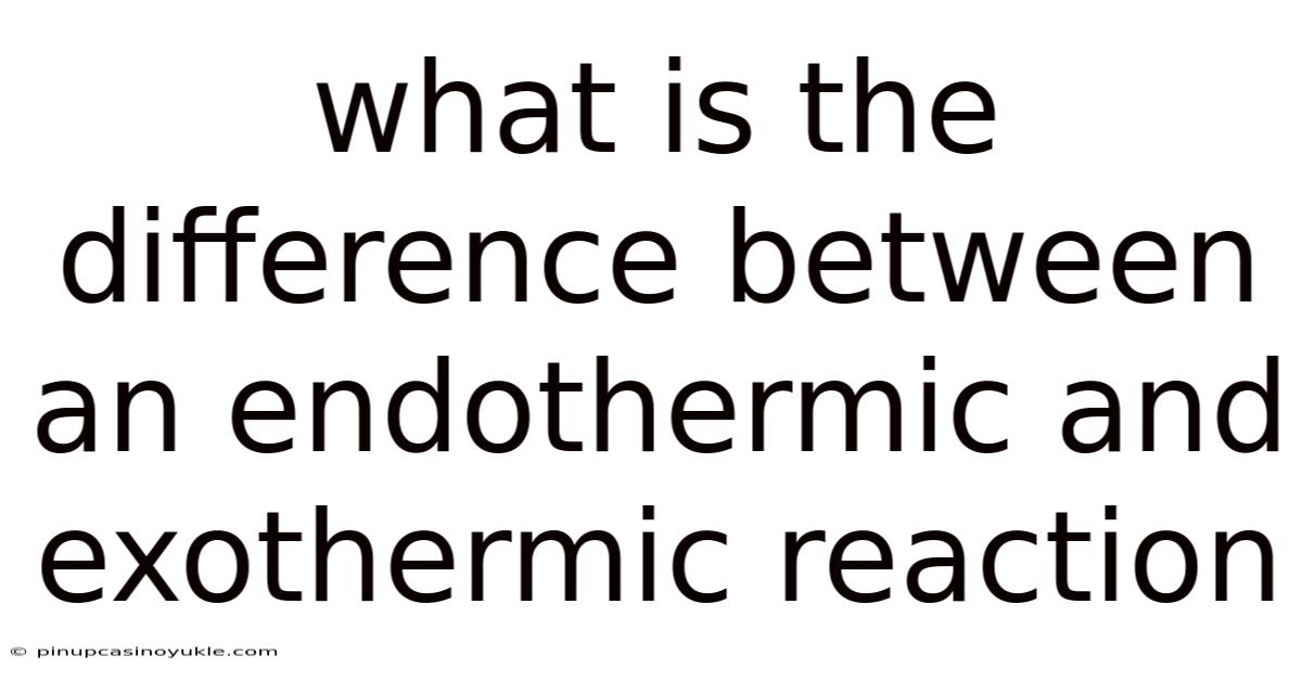What Is The Difference Between An Endothermic And Exothermic Reaction