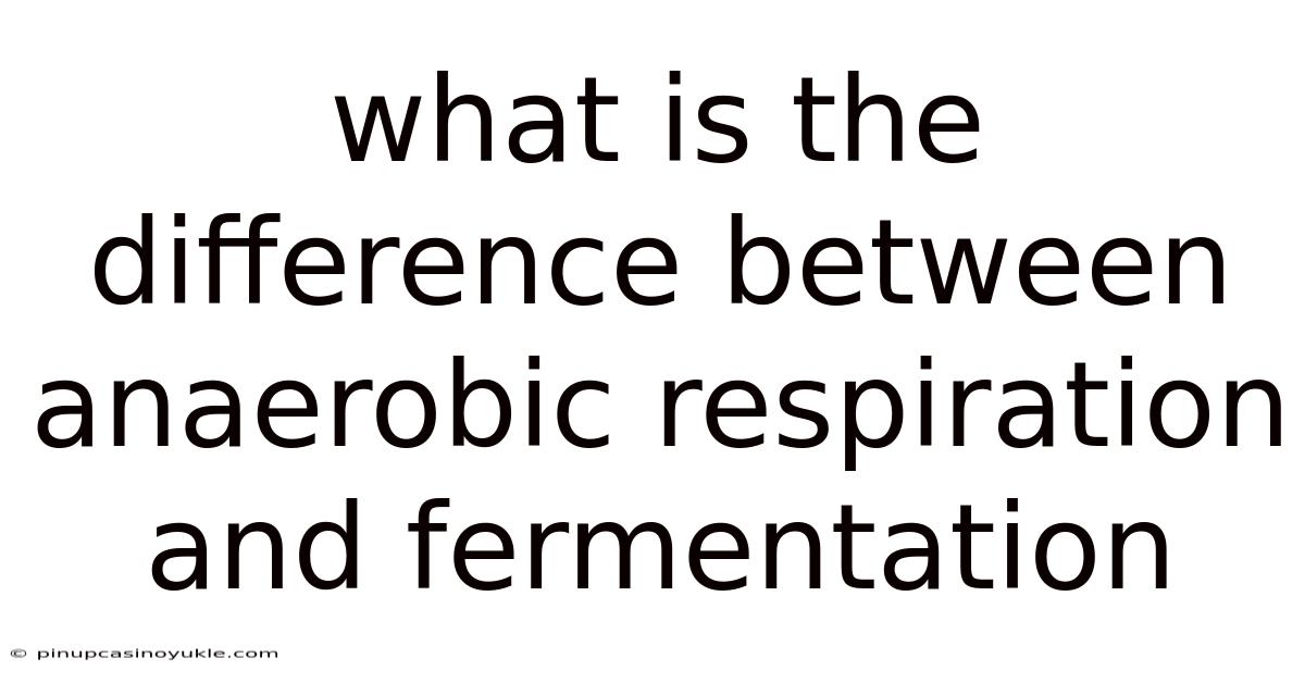 What Is The Difference Between Anaerobic Respiration And Fermentation