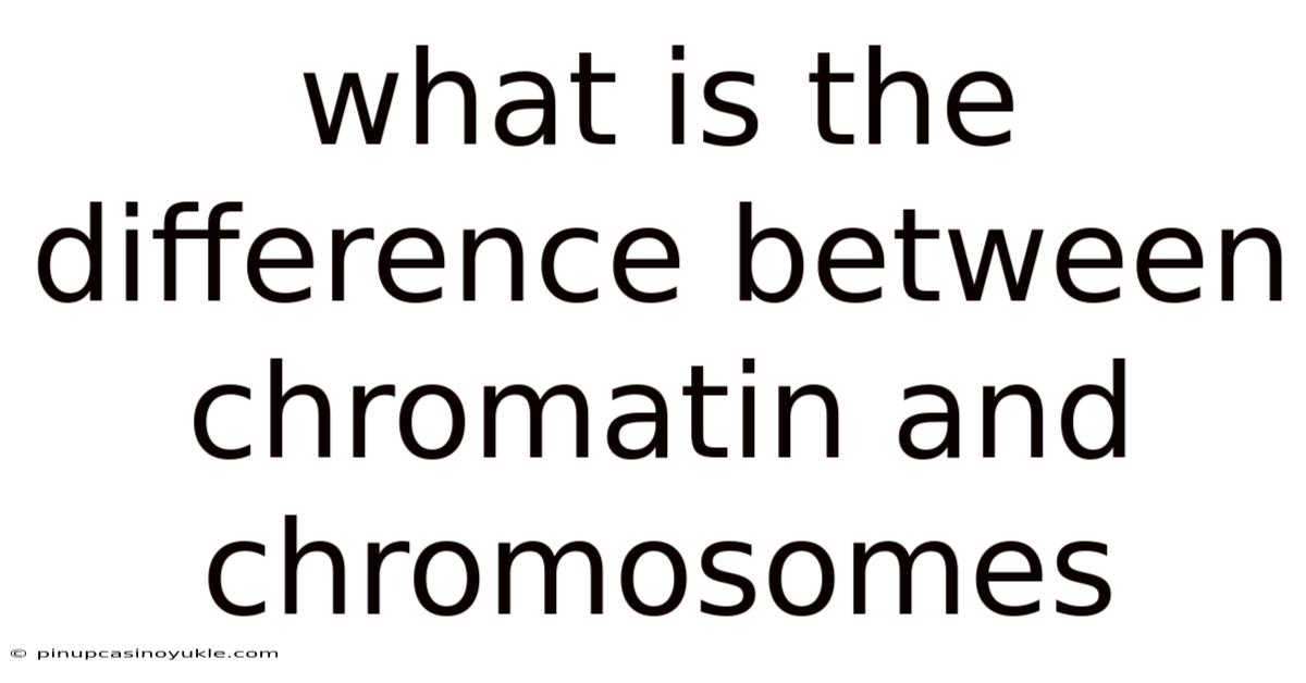 What Is The Difference Between Chromatin And Chromosomes