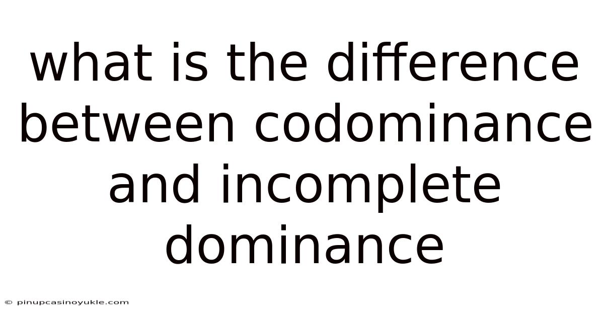 What Is The Difference Between Codominance And Incomplete Dominance