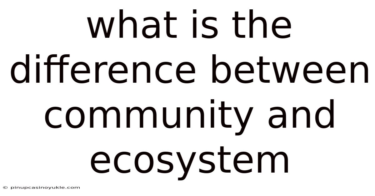 What Is The Difference Between Community And Ecosystem