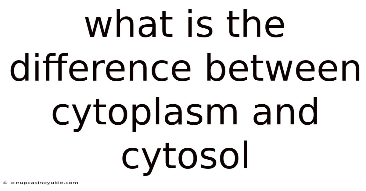 What Is The Difference Between Cytoplasm And Cytosol