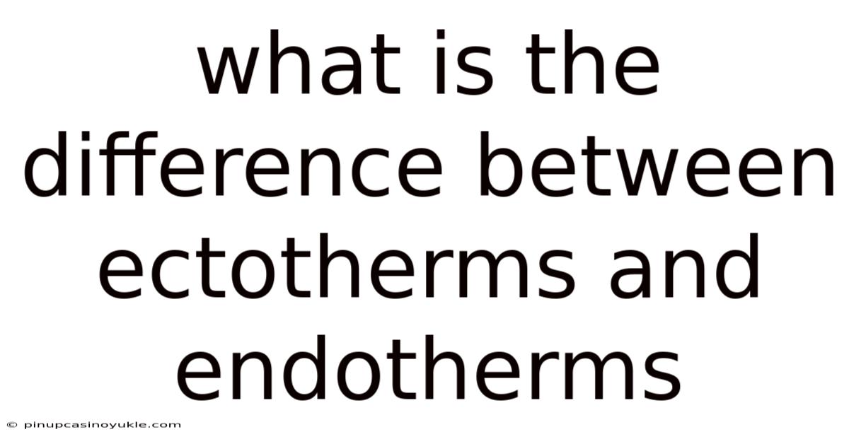 What Is The Difference Between Ectotherms And Endotherms