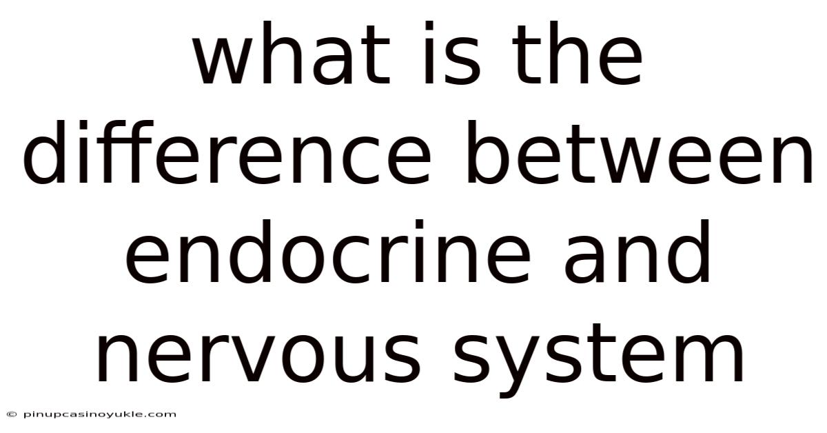 What Is The Difference Between Endocrine And Nervous System