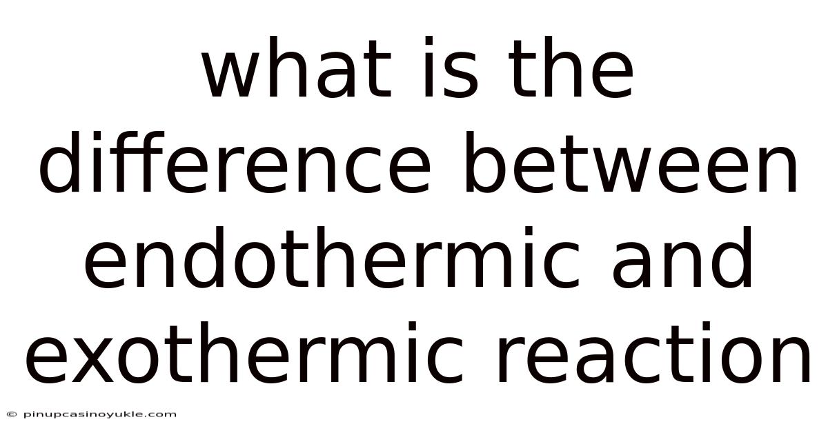 What Is The Difference Between Endothermic And Exothermic Reaction