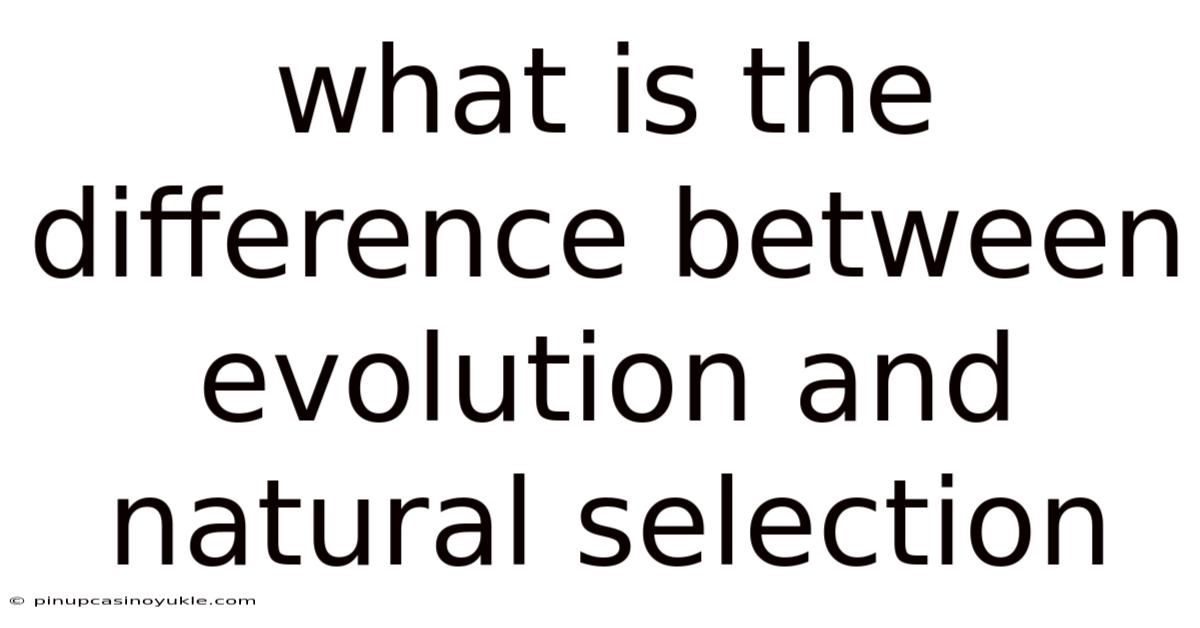 What Is The Difference Between Evolution And Natural Selection