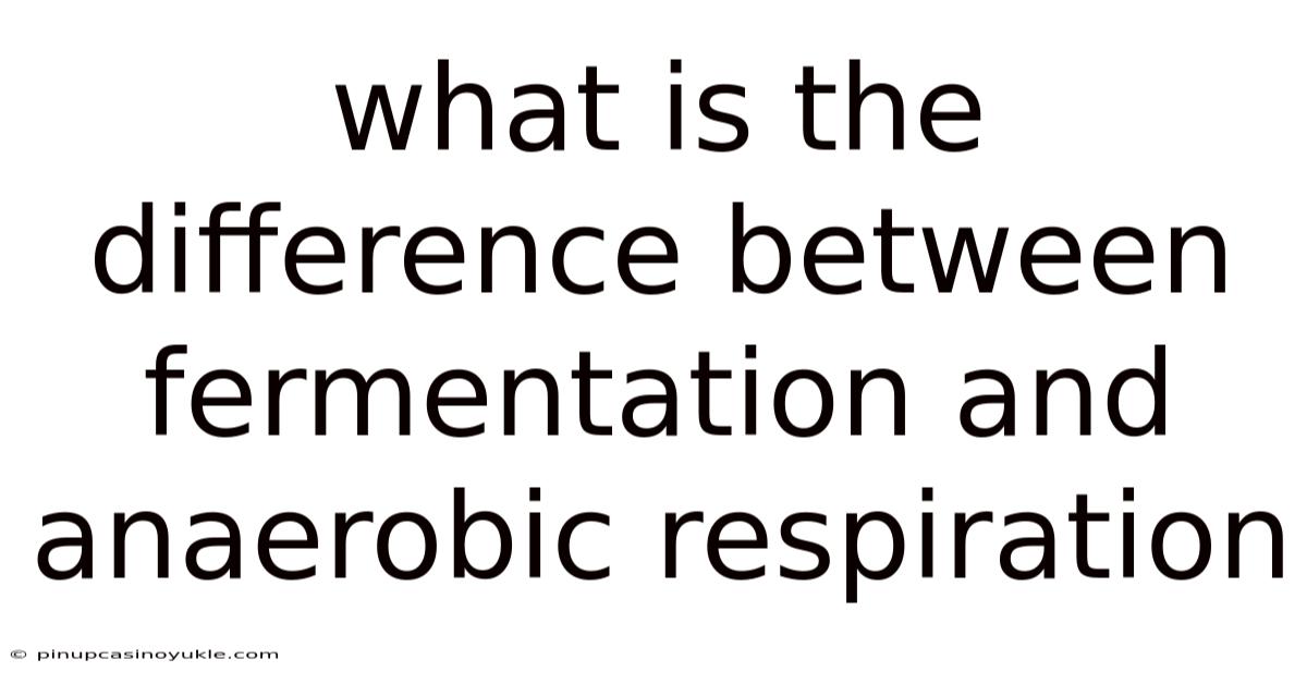 What Is The Difference Between Fermentation And Anaerobic Respiration