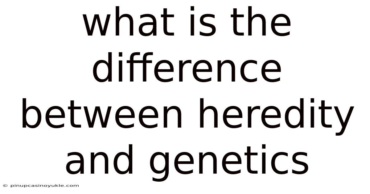 What Is The Difference Between Heredity And Genetics