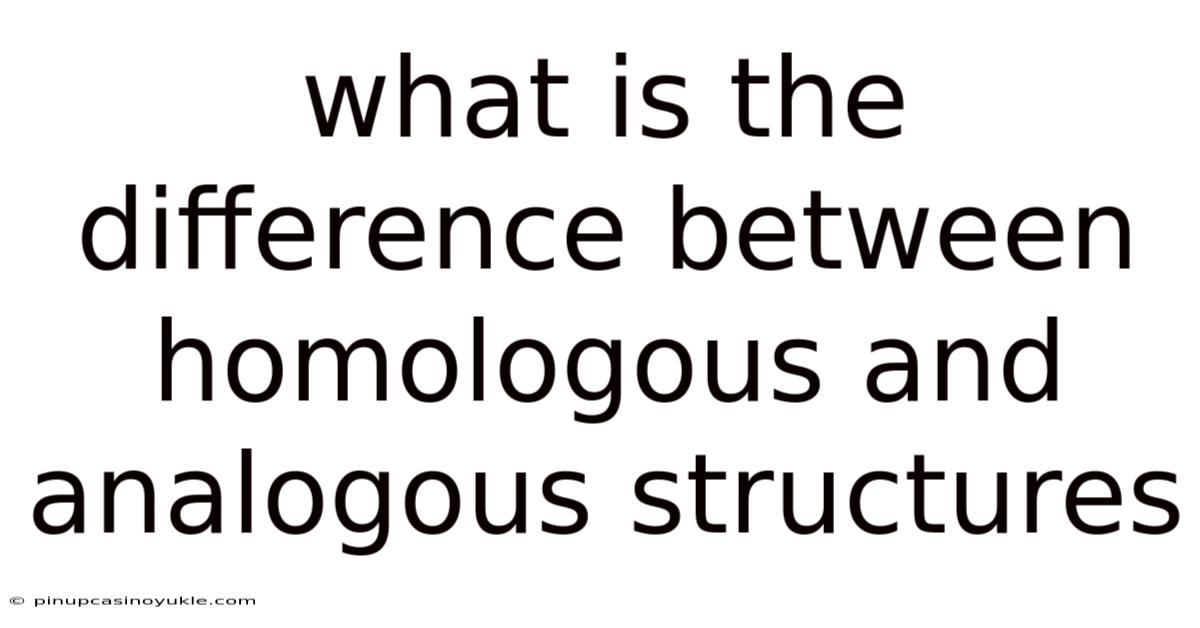 What Is The Difference Between Homologous And Analogous Structures