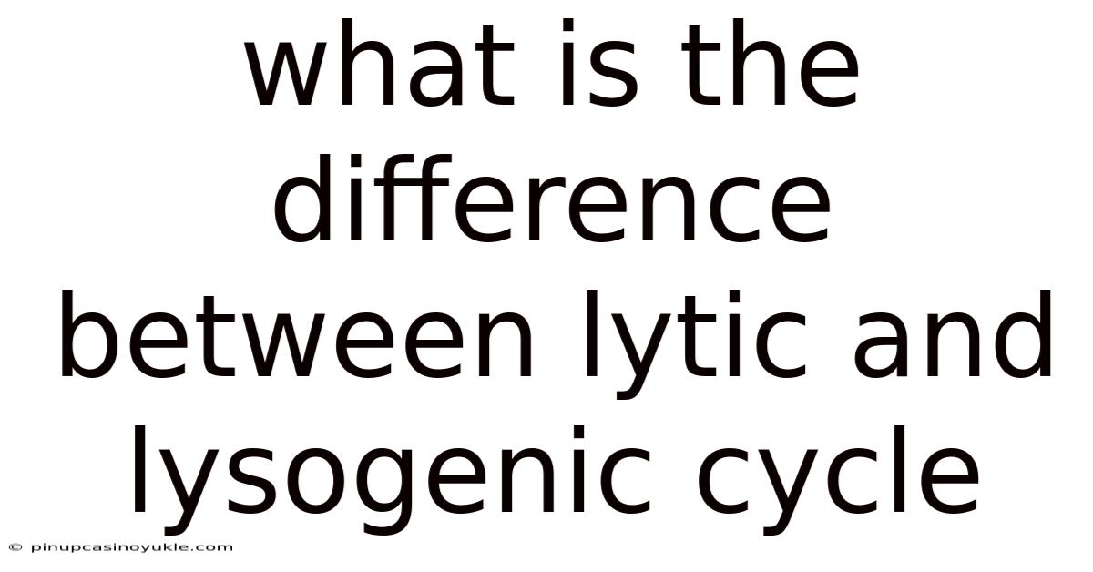 What Is The Difference Between Lytic And Lysogenic Cycle
