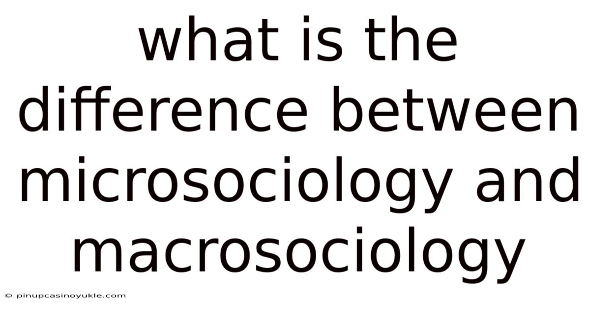 What Is The Difference Between Microsociology And Macrosociology