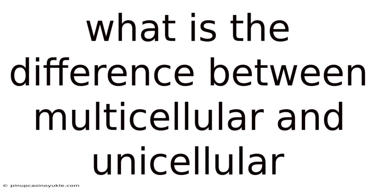 What Is The Difference Between Multicellular And Unicellular