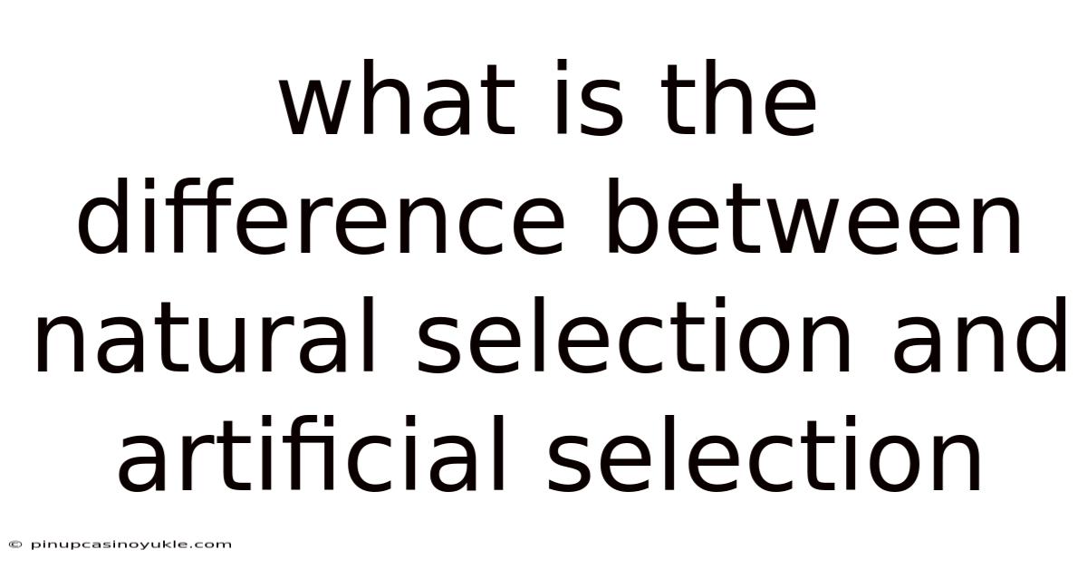 What Is The Difference Between Natural Selection And Artificial Selection