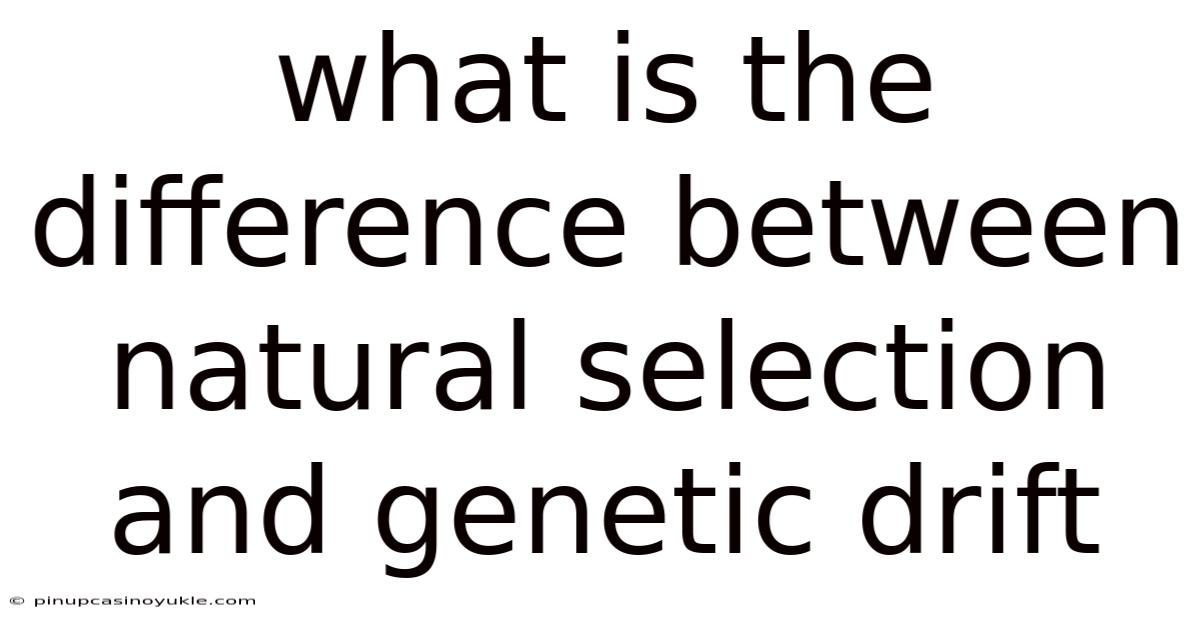 What Is The Difference Between Natural Selection And Genetic Drift