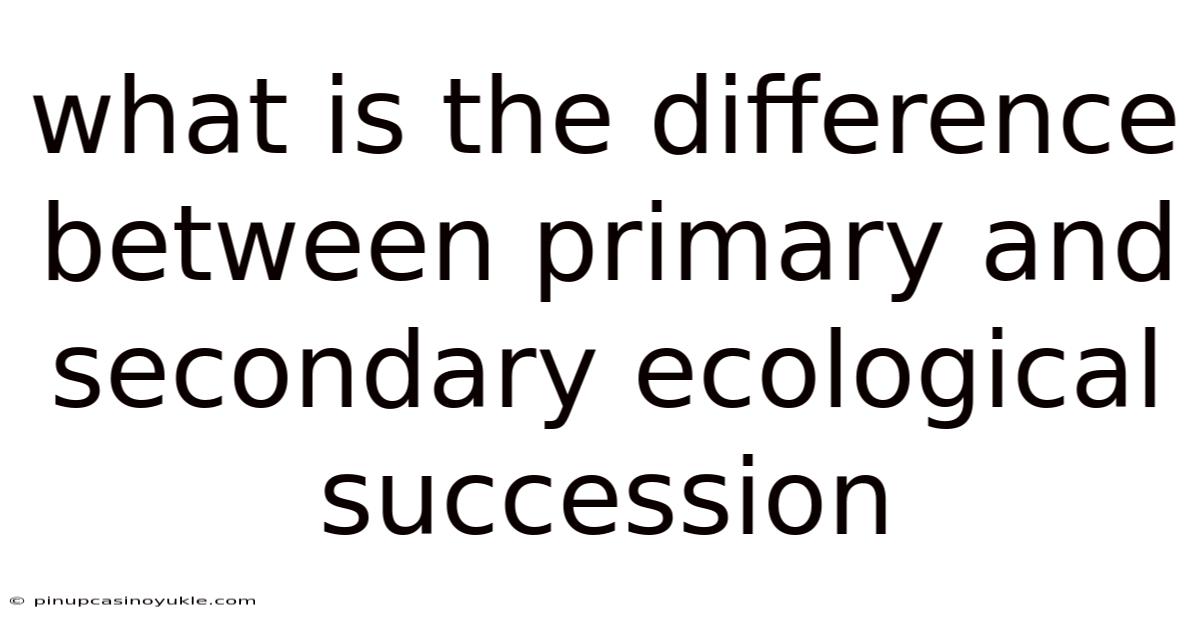 What Is The Difference Between Primary And Secondary Ecological Succession