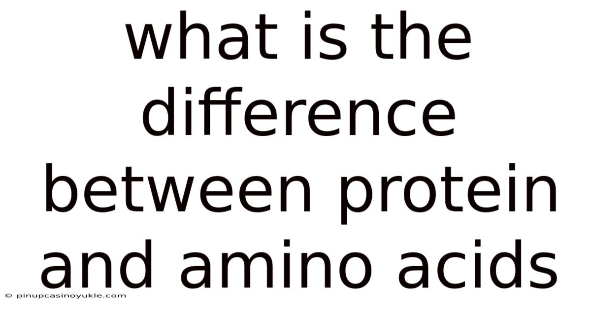 What Is The Difference Between Protein And Amino Acids