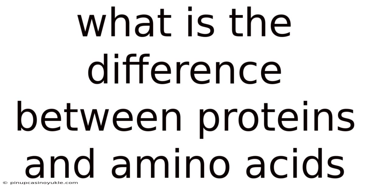 What Is The Difference Between Proteins And Amino Acids