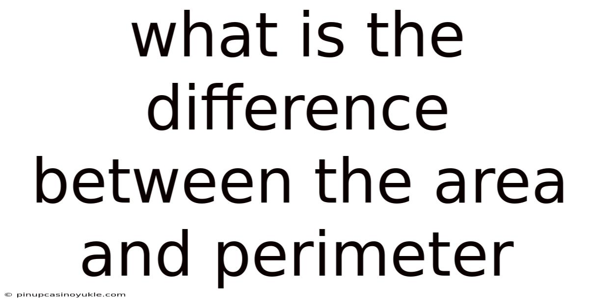 What Is The Difference Between The Area And Perimeter